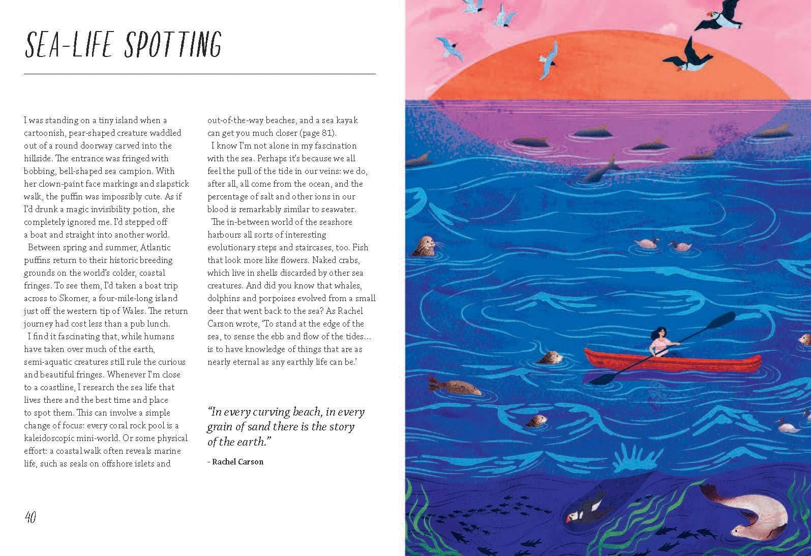 Rewild Your Life: Reconnect to nature over 52 seasonal projects