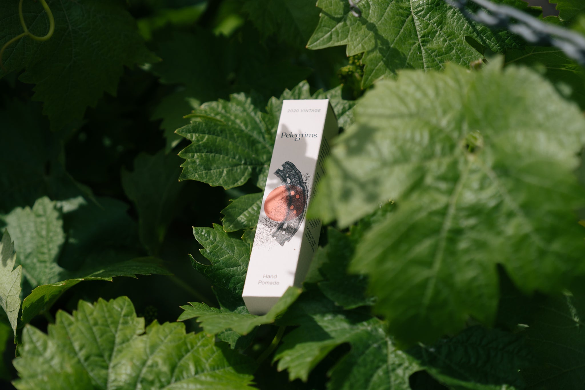 Polyphenol Hand Pomade Miniature