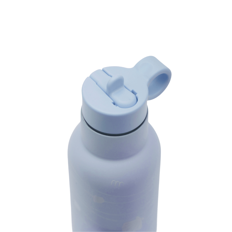 Seashell Insulated Drinking Bottle 500ML - Blue