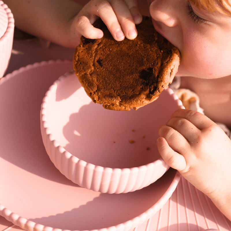 Seashell Mealtime Essential Set - Pink