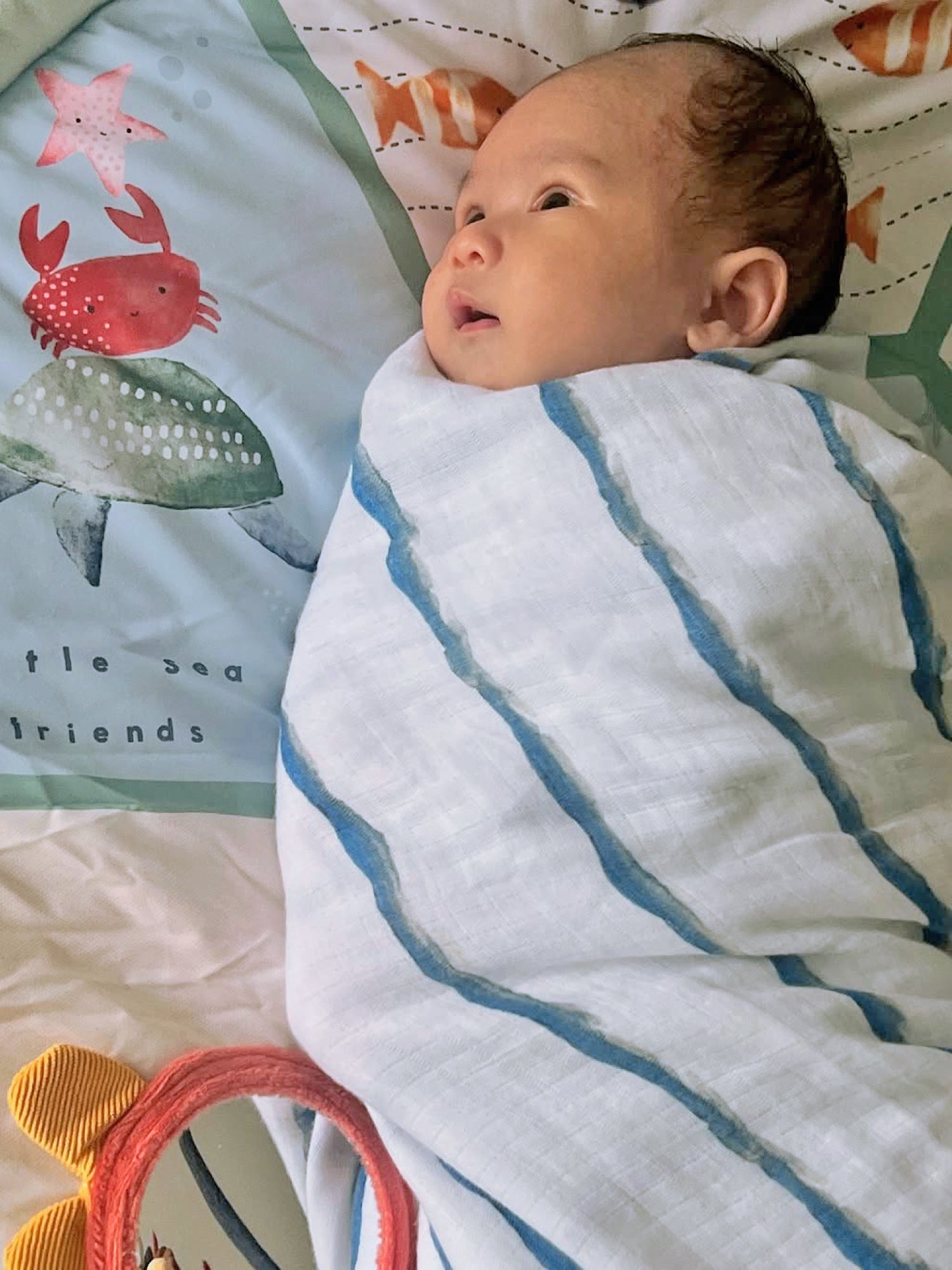 Organic Swaddle - Ocean