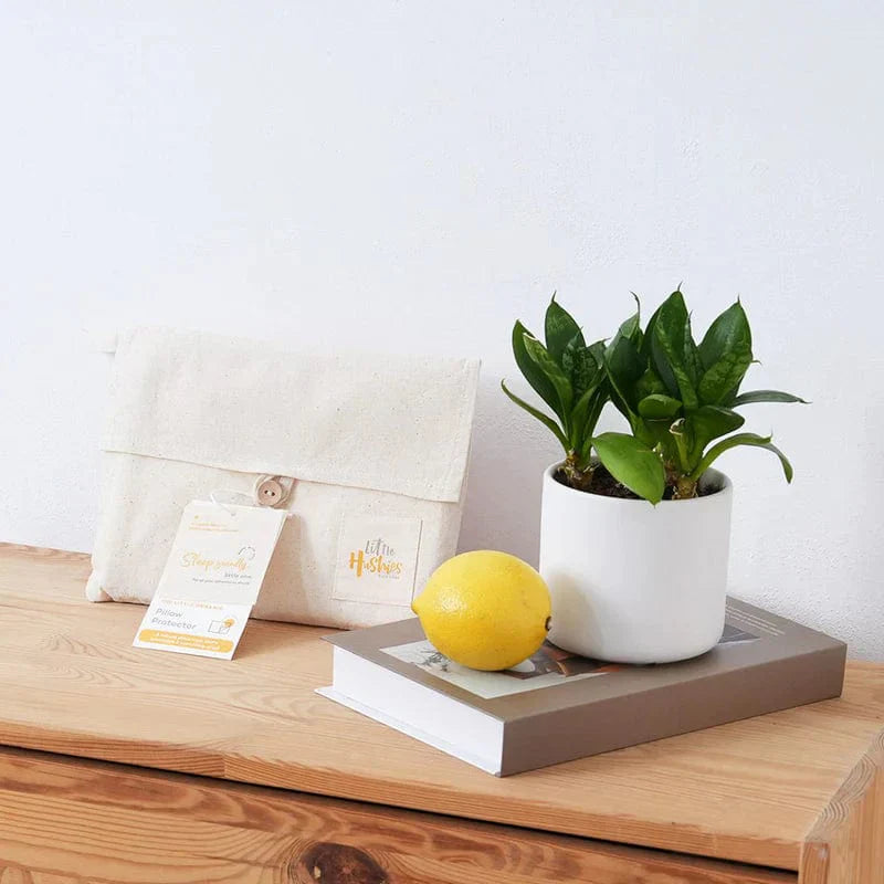 The Little Organic Pillow Protector