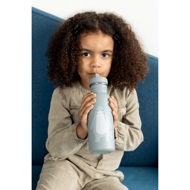 Water Bottle Mr. Shark 500ml